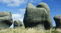 Kinder Low