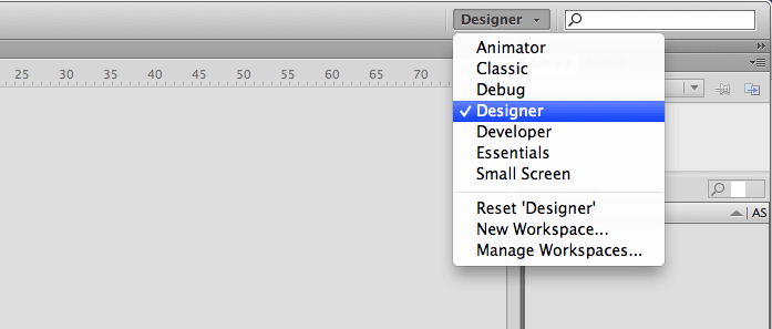 Flash workspaces
