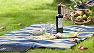 Picnic blanket with glasses and a bottle of wine, beside an apple tree