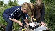 Geocaching at Wicken Fen National Nature Reserve, Cambridgeshire