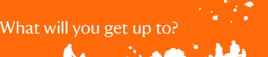 What will you get up to?